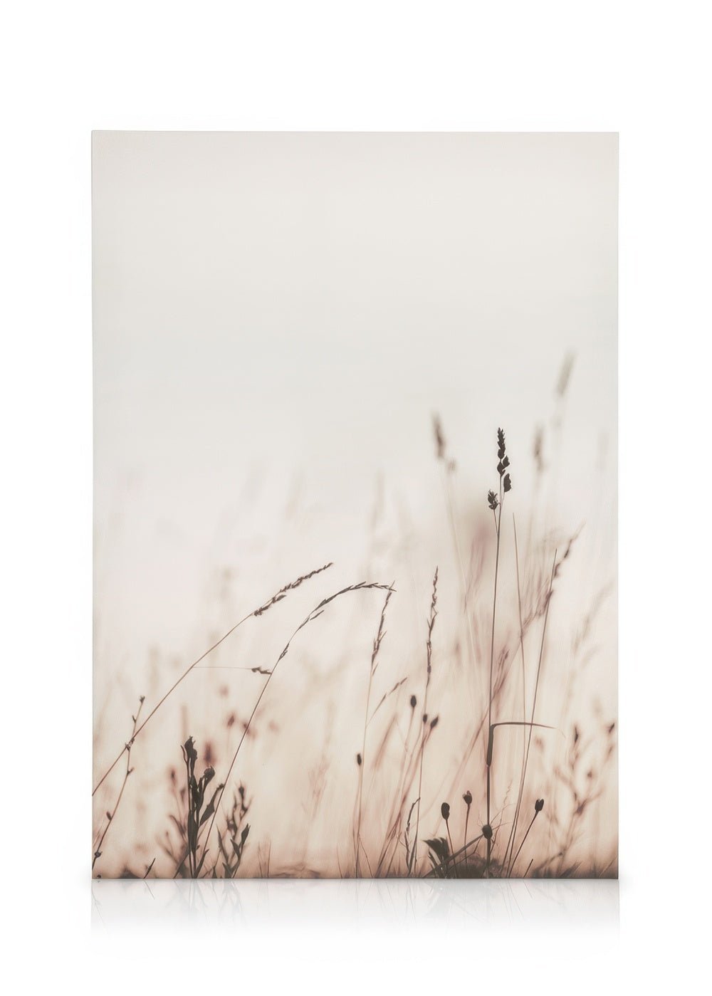 Morning Field Canvas print