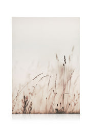 Morning Field Canvas print