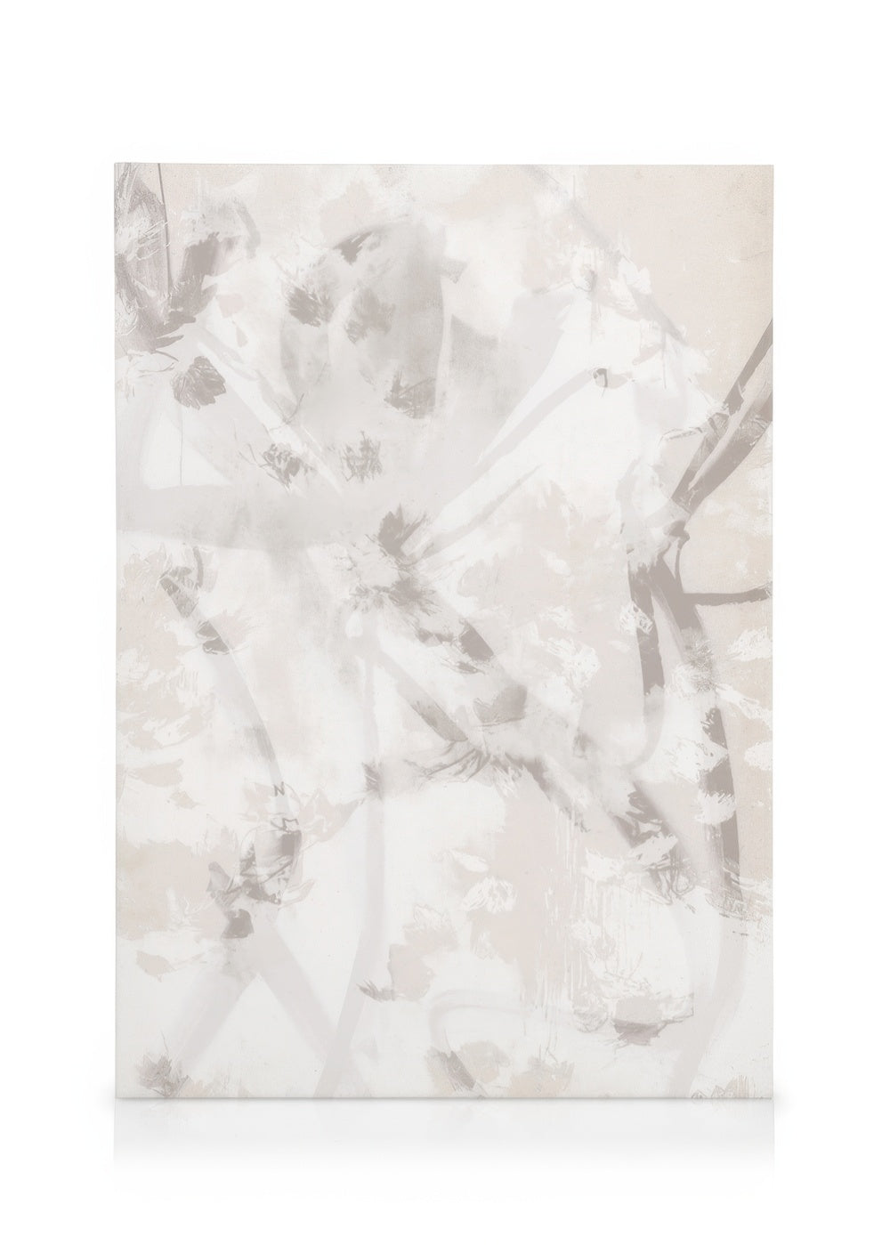 Soft Abstract No1 Canvas print