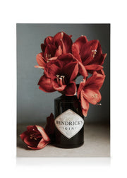 Gin and Red Amaryllis Canvas print