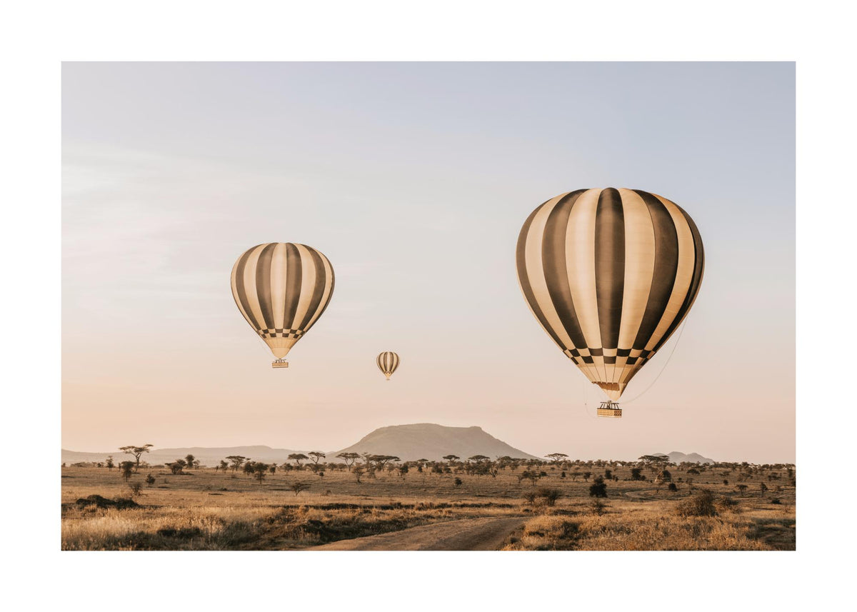 Air Balloons Over Serengeti Print