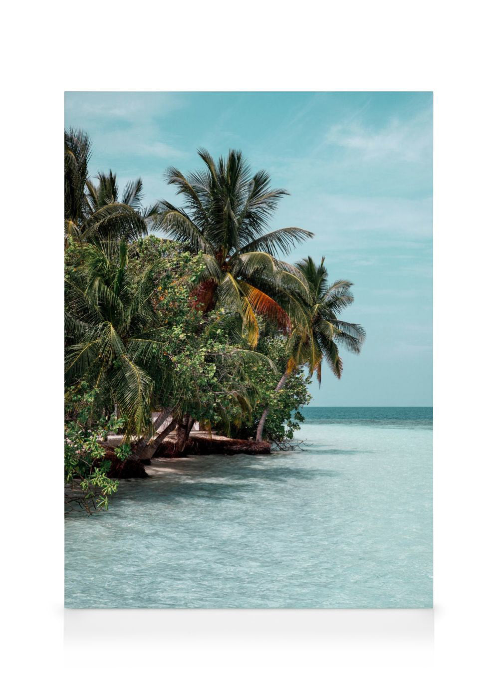 The Tropics Canvas