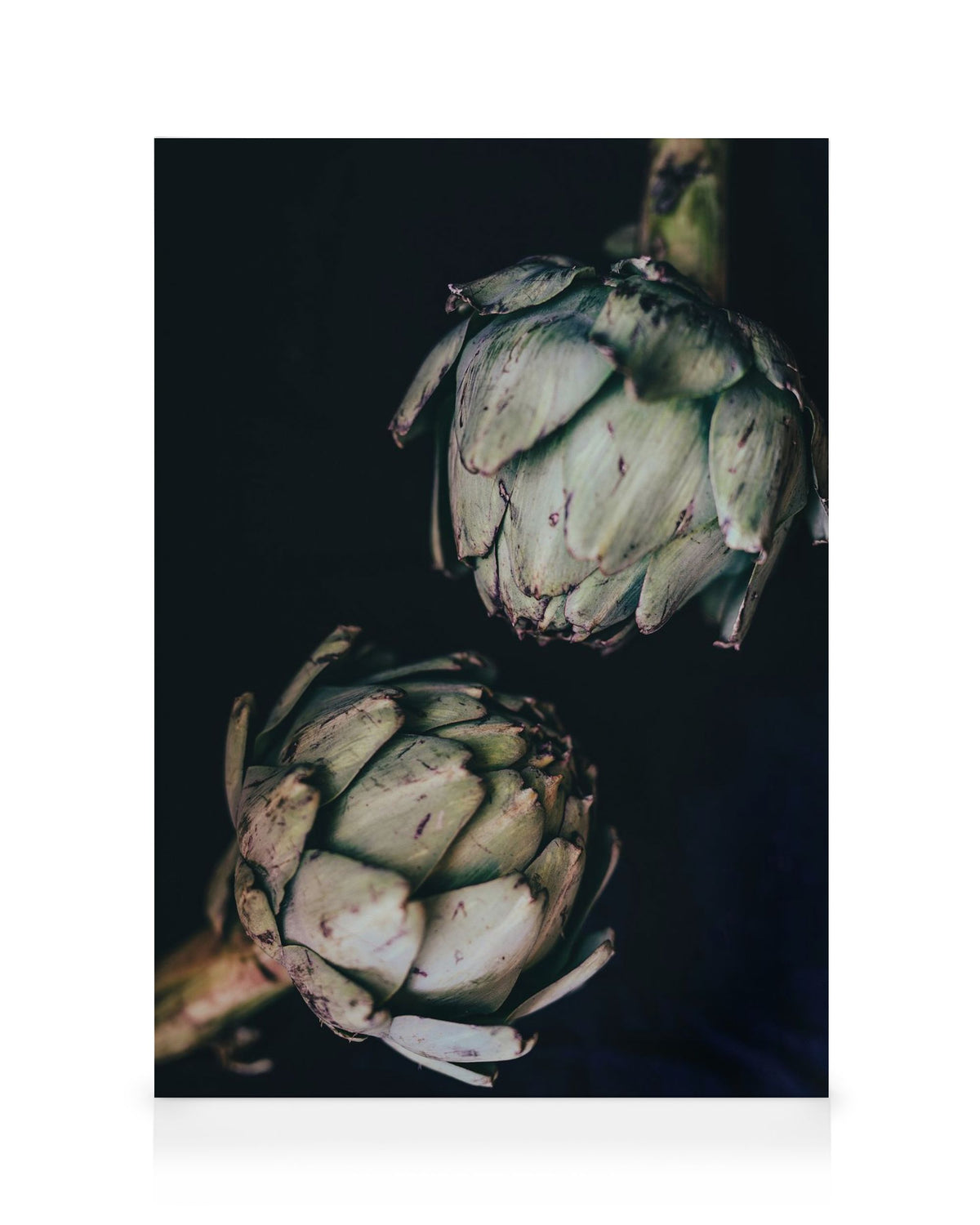 Artichokes Canvas print