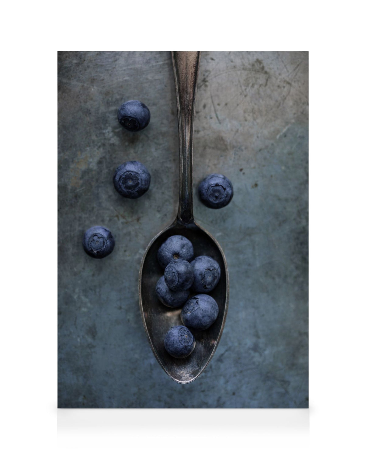Sweet Blueberries Canvas print