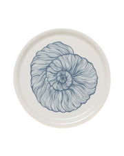 Seashell Tray