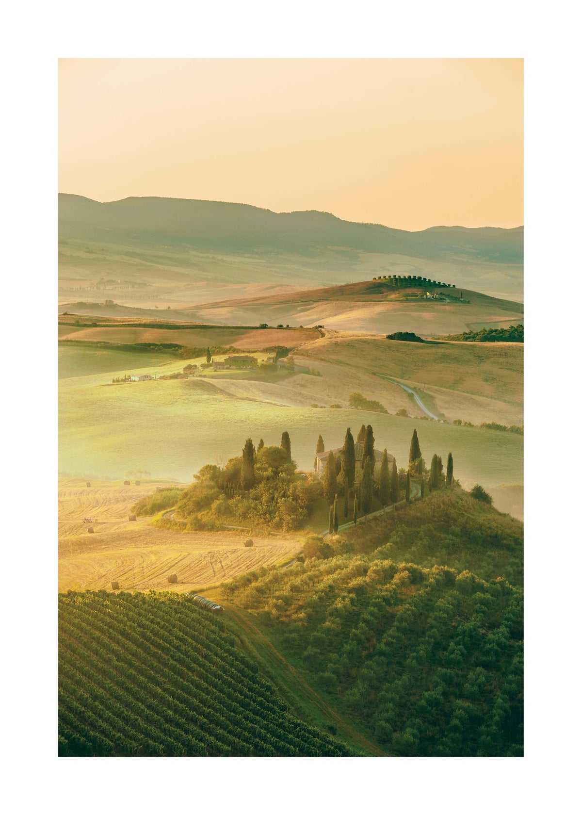 Tuscany Hills Print