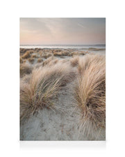 Calm Sand Dunes Canvas print