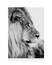Lion Profile Canvas print