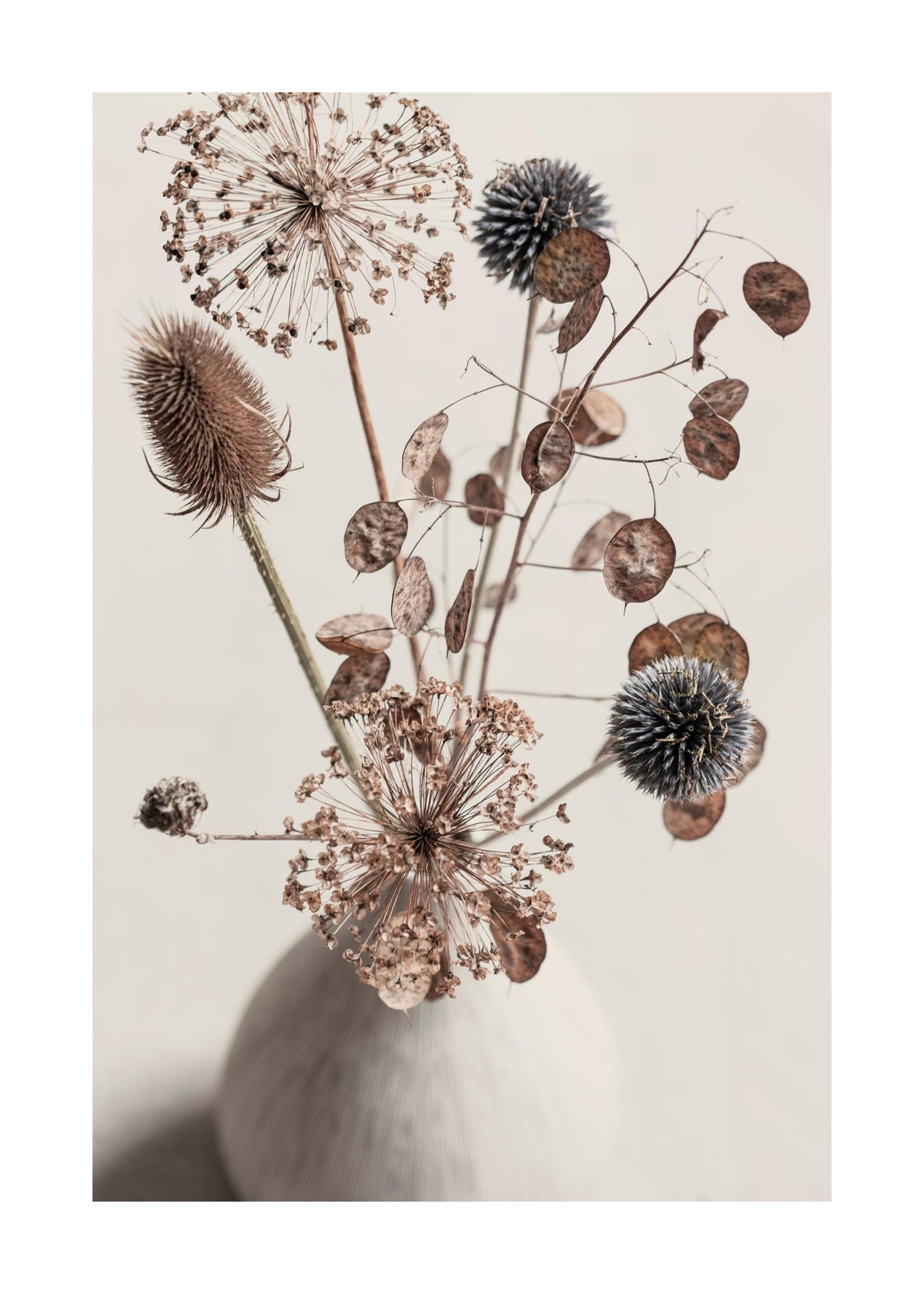Delicate Boquet Print