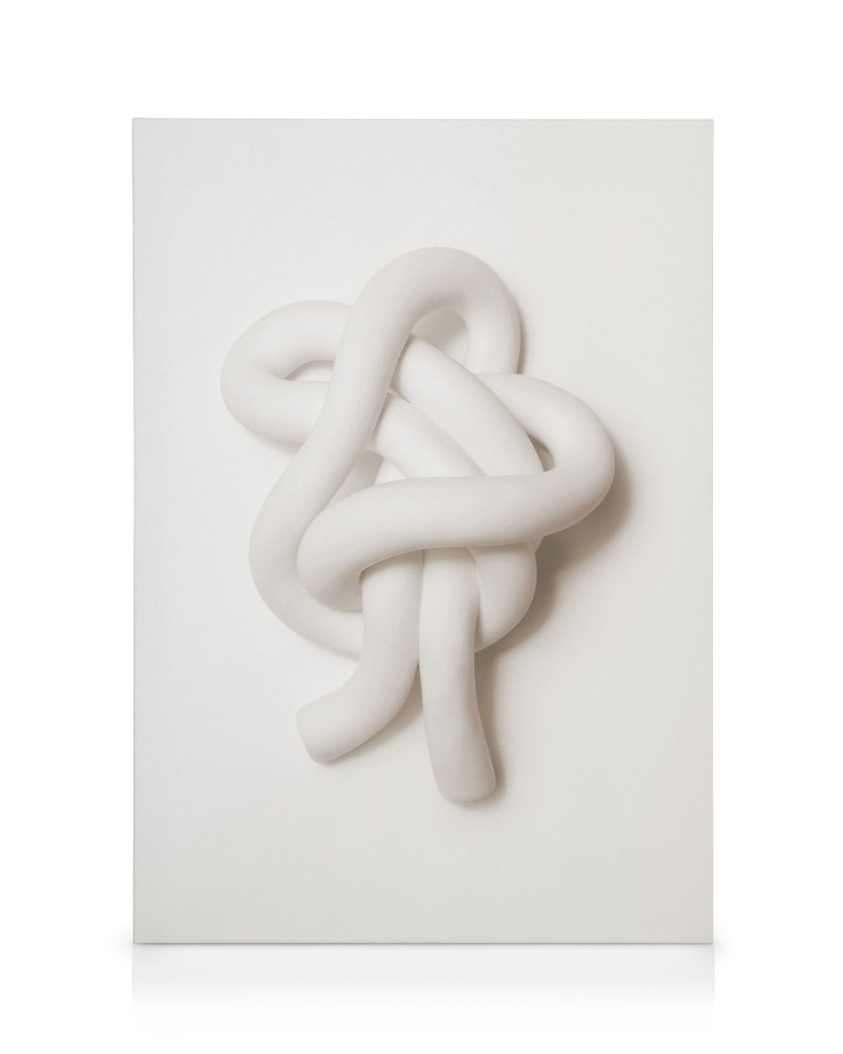 Soft Knot Canvas print
