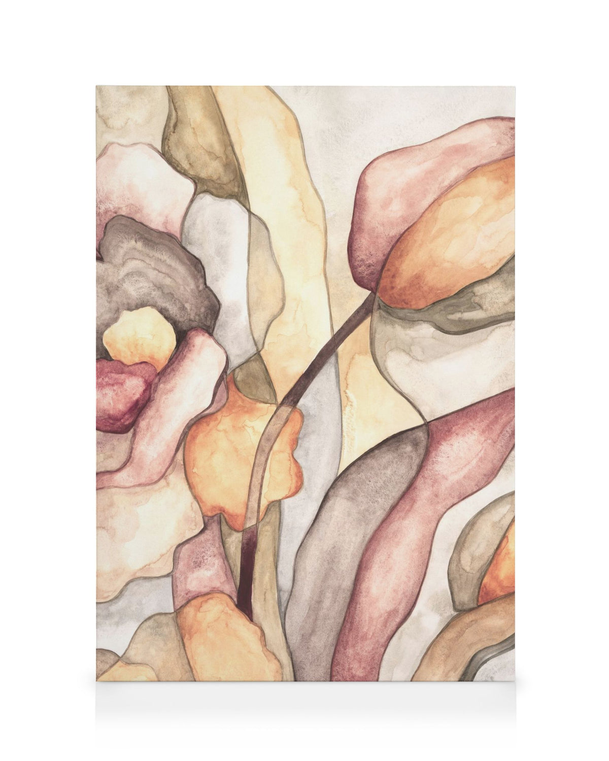 Botanical Shapes No1 Canvas print