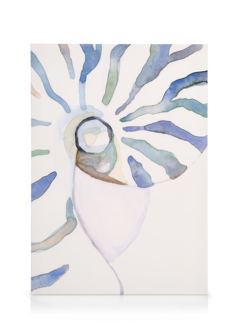 Abstract Seashell Canvas print