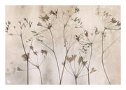Dried Flowers Art No1 Print