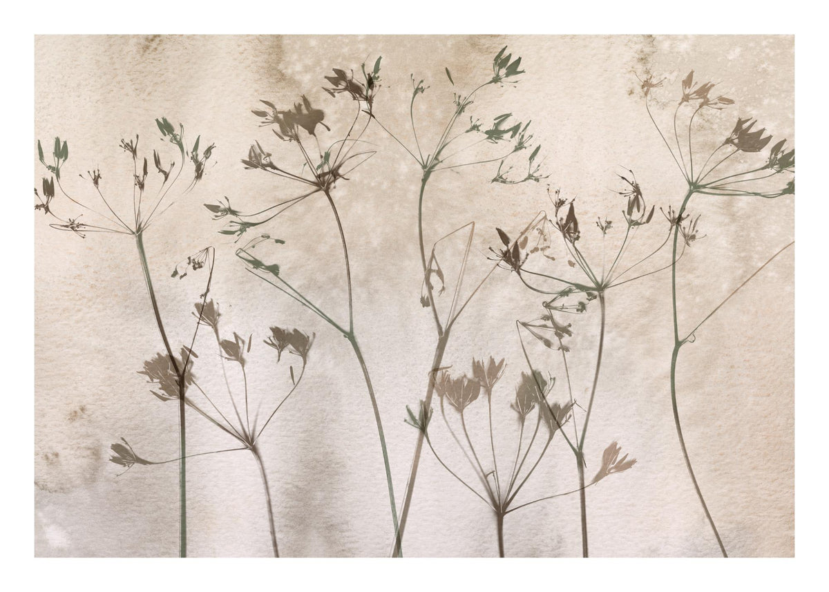 Dried Flowers Art No1 Print