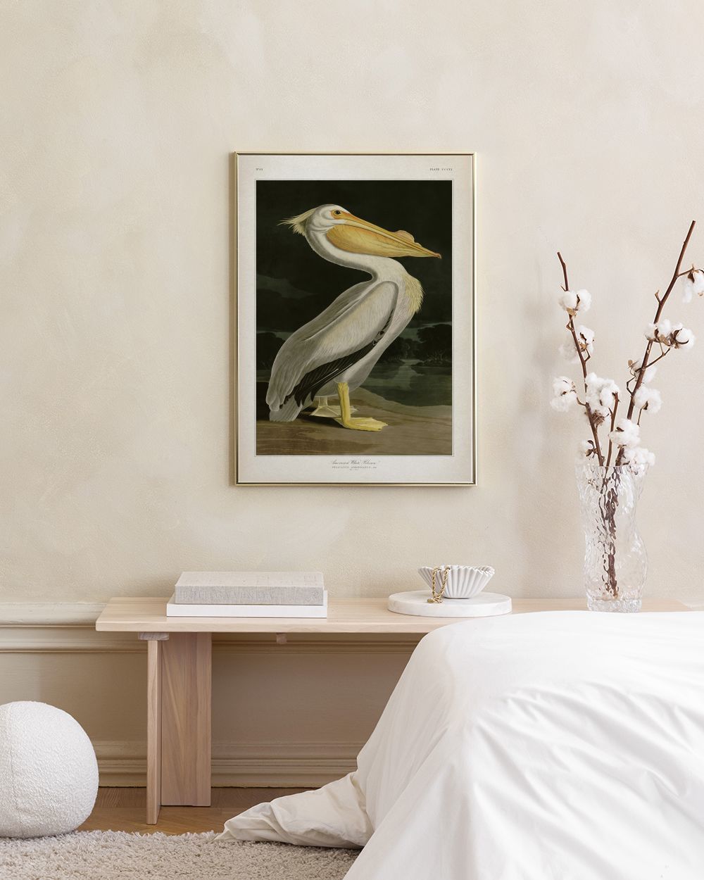 American White Pelican Print