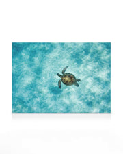 Green Sea Turtle Canvas print
