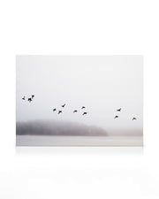 Birds Over Lake Canvas print