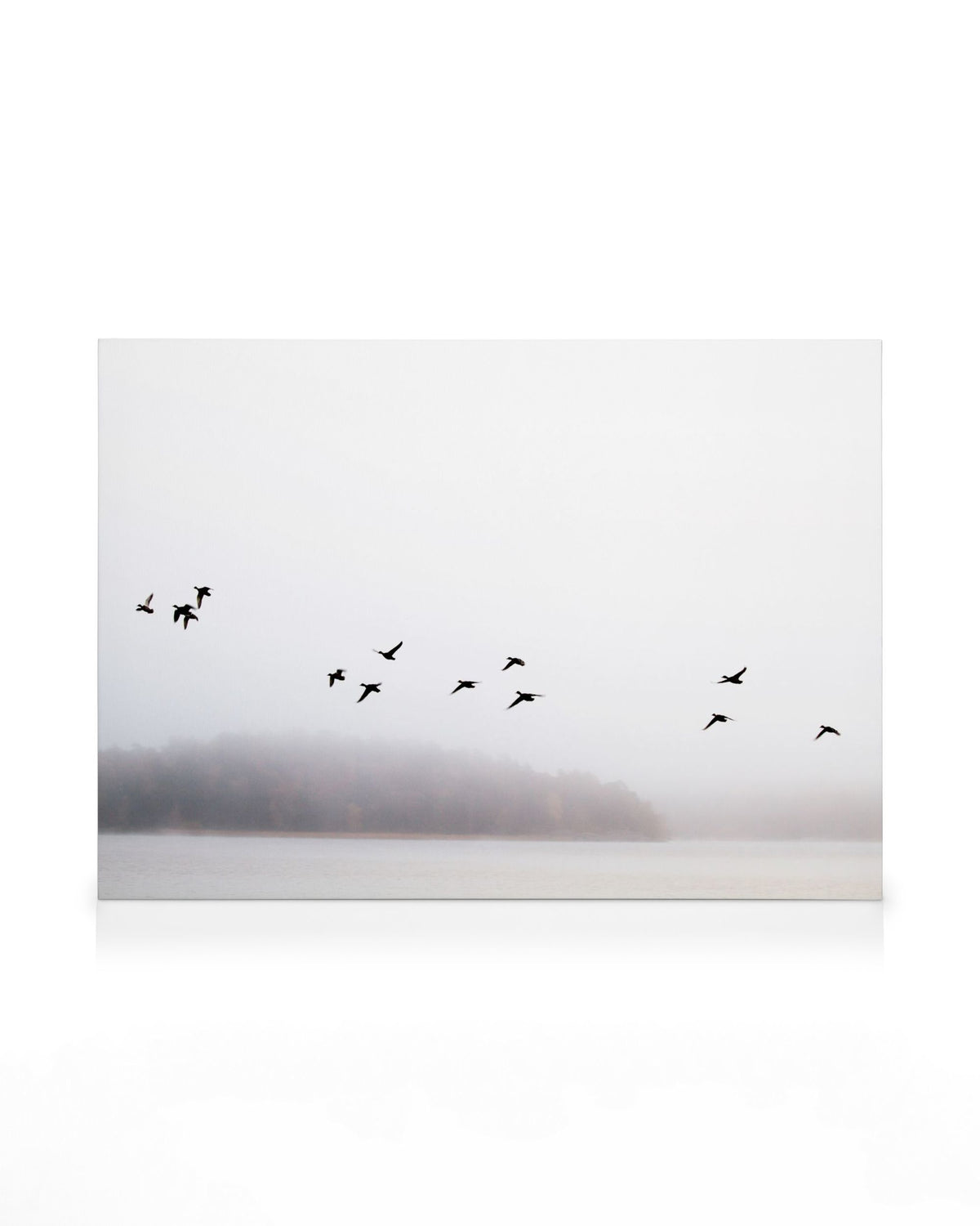 Birds Over Lake Canvas print