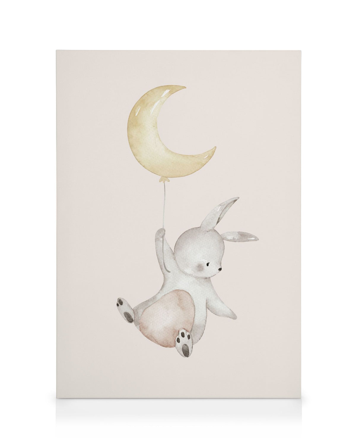 Flying Bunny Canvas print