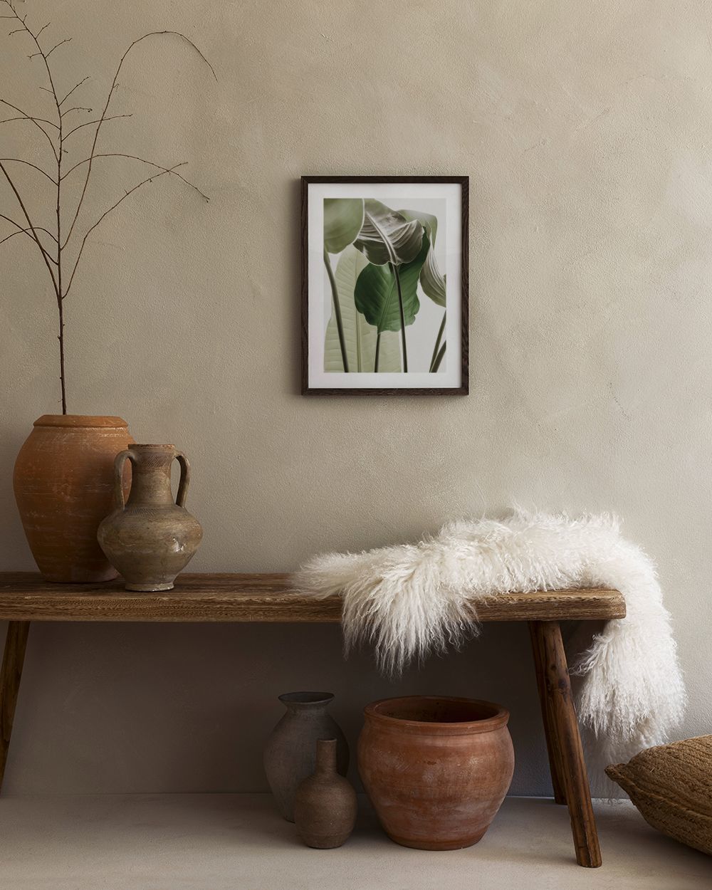 Strelitzia Plant No1 Print