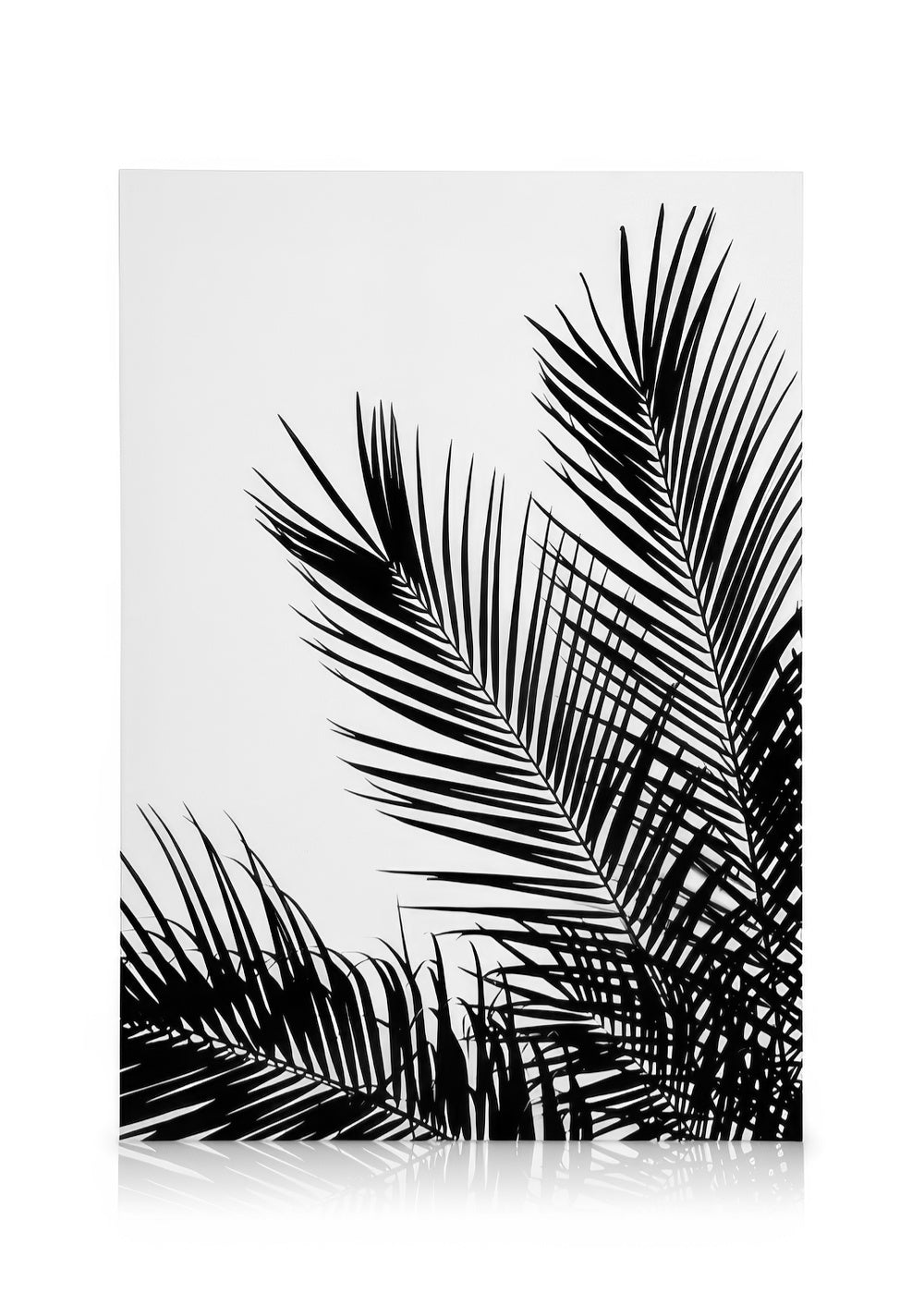 Black Palm Tree One Canvas print