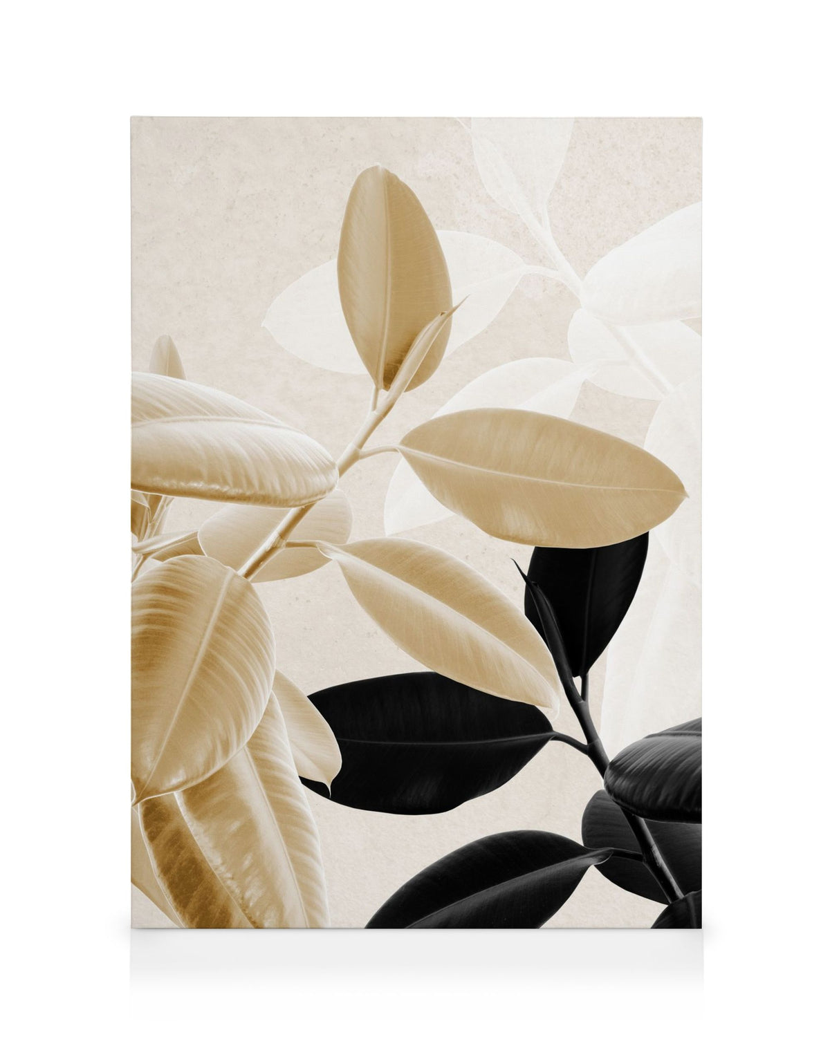Gold and Black No1 Canvas print