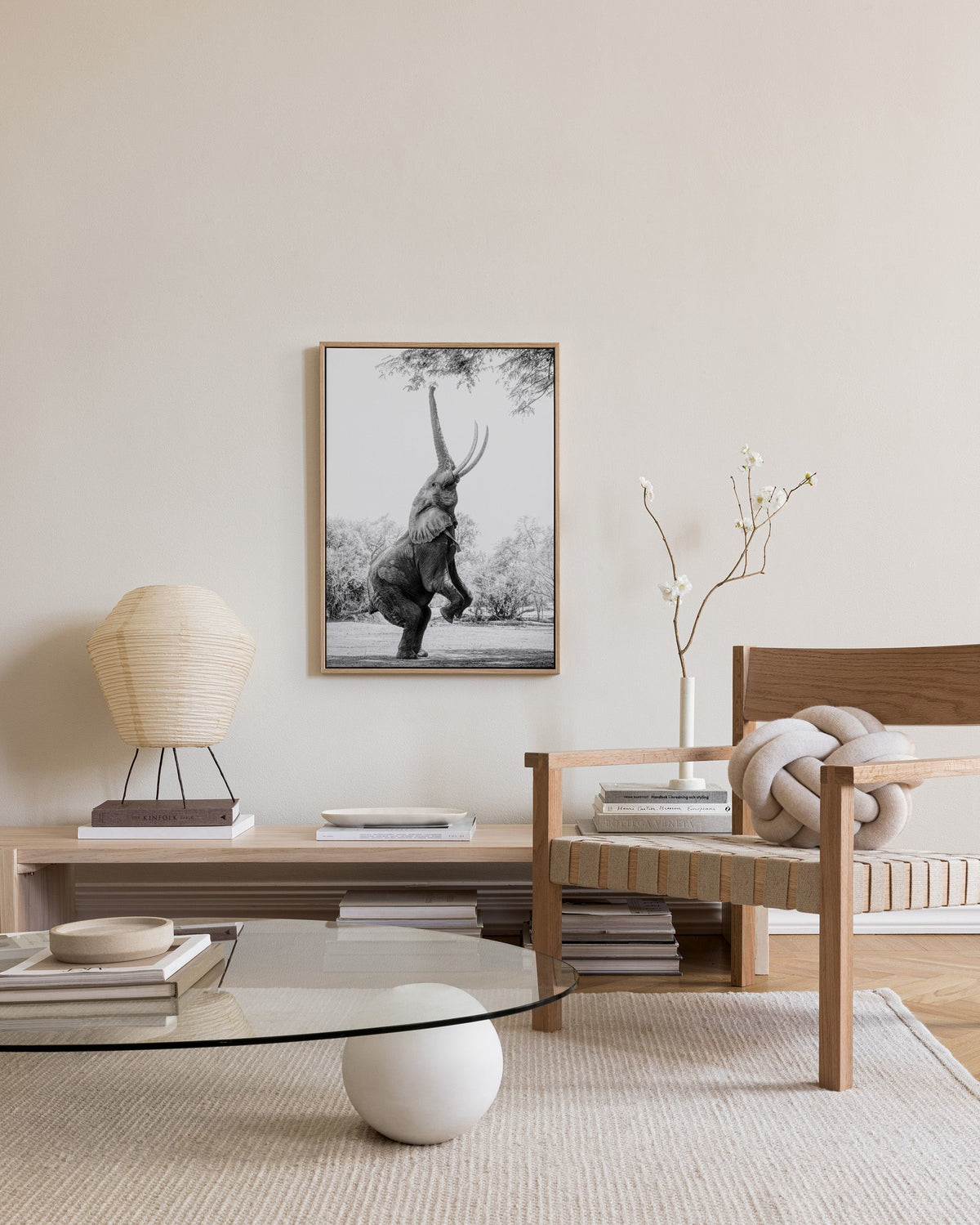 Balancing Elephant Canvas print