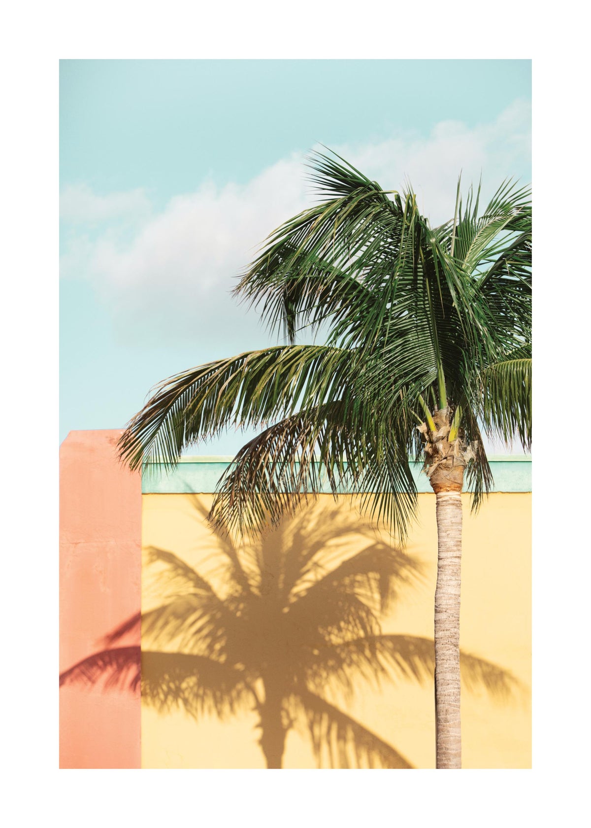 Sun-drenched Palm Print