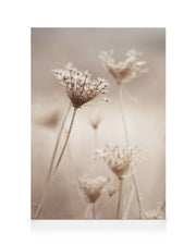 Wildflowers in Beige Canvas print