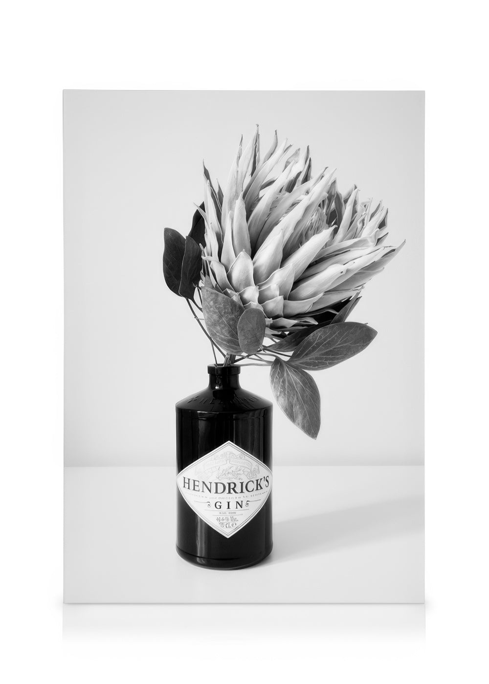 Gin & Flower Canvas print