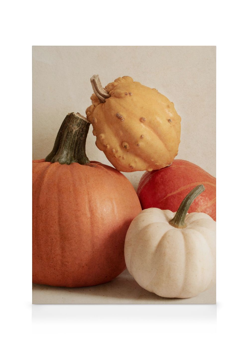 Pile of Pumpkins Canvas print