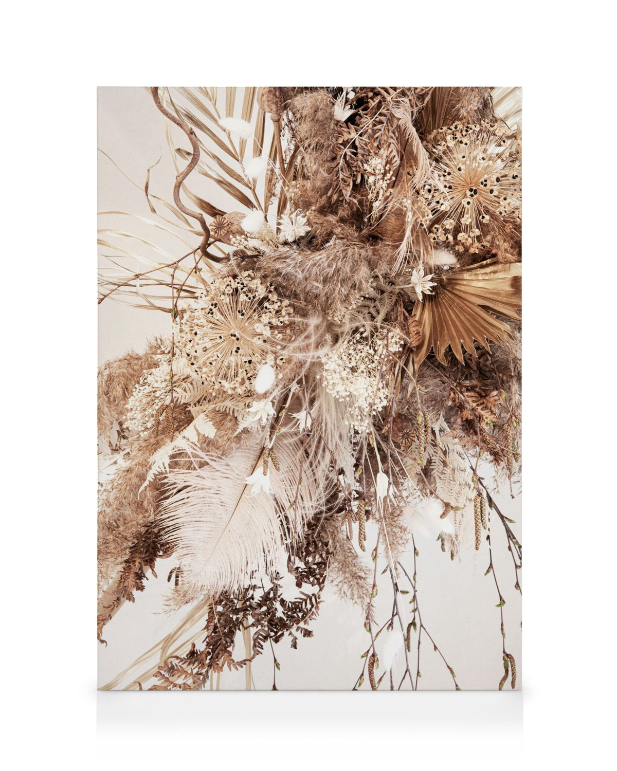 Dried Dream Beige No1 Canvas print