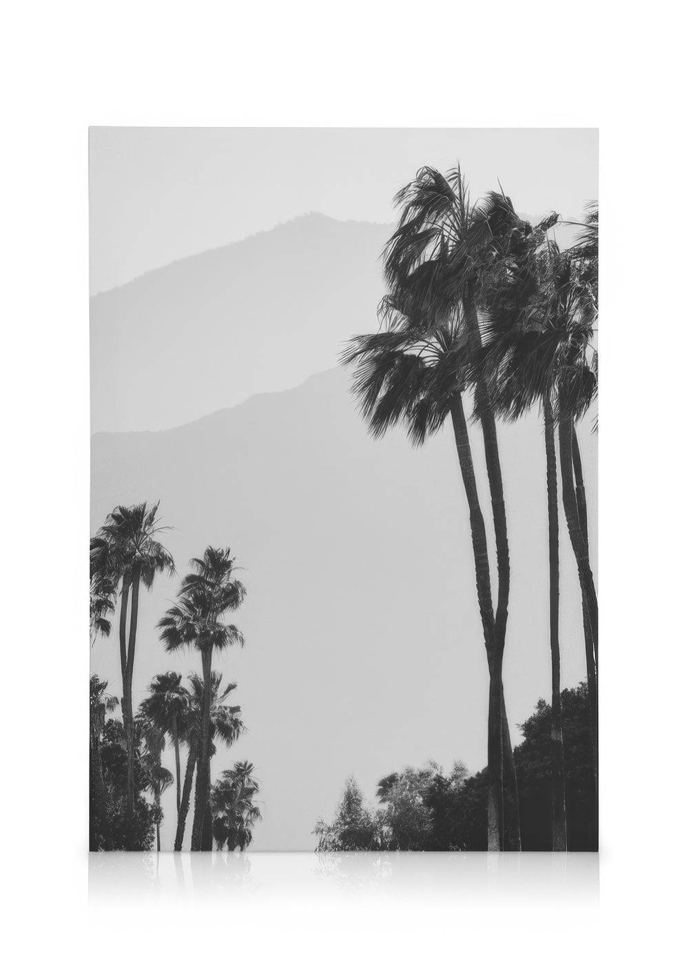 Misty Mountain View Canvas print