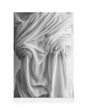 Wet Shirt Canvas print
