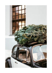 Holiday Ride Print