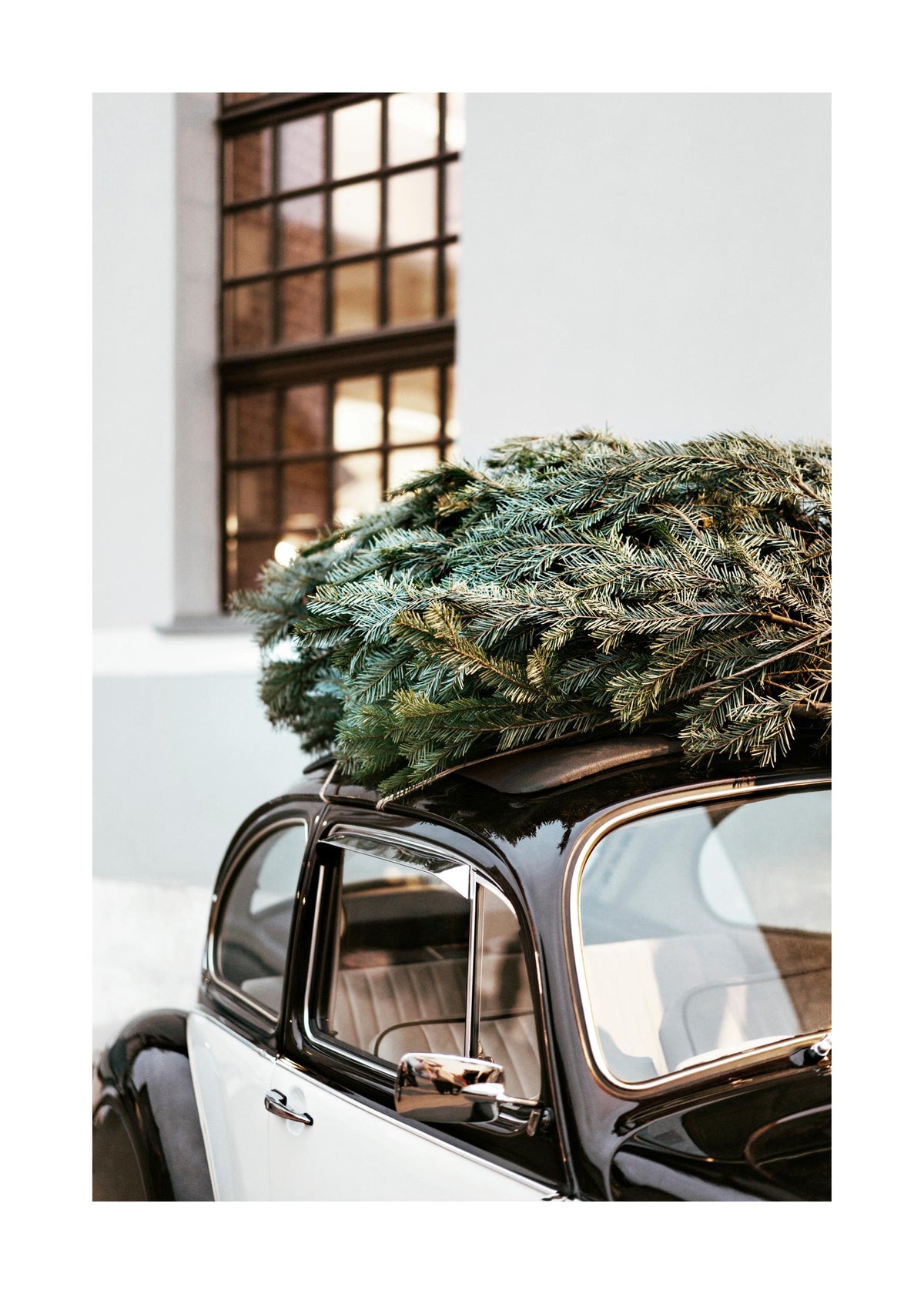 Holiday Ride Print