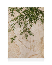 Concrete Leaves Canvas print