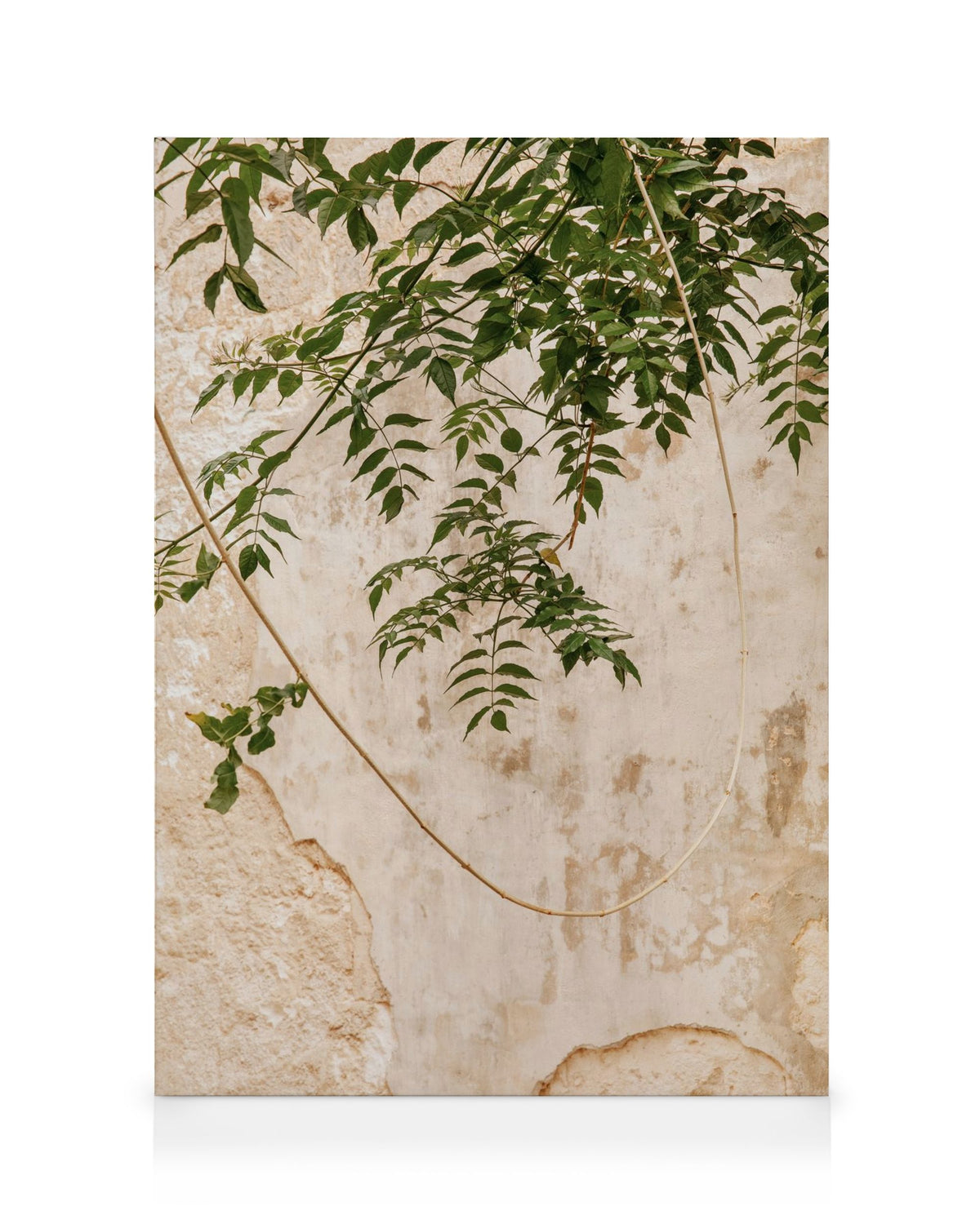 Concrete Leaves Canvas print