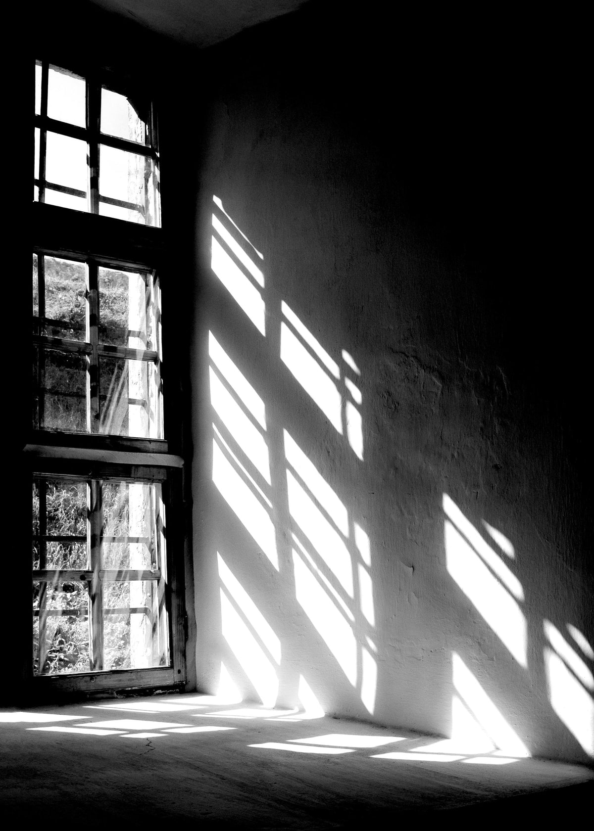Let The Light In Print