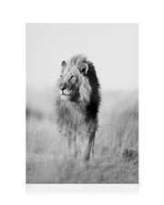 The King of the Jungle Canvas print