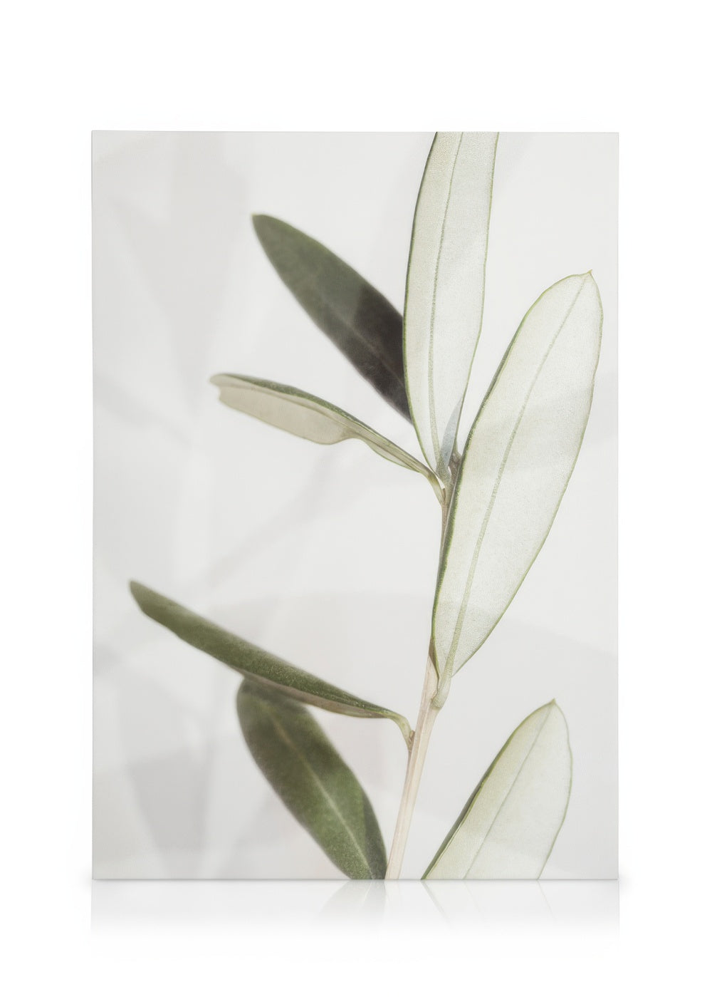 Olive Canvas print
