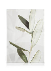 Olive Canvas print