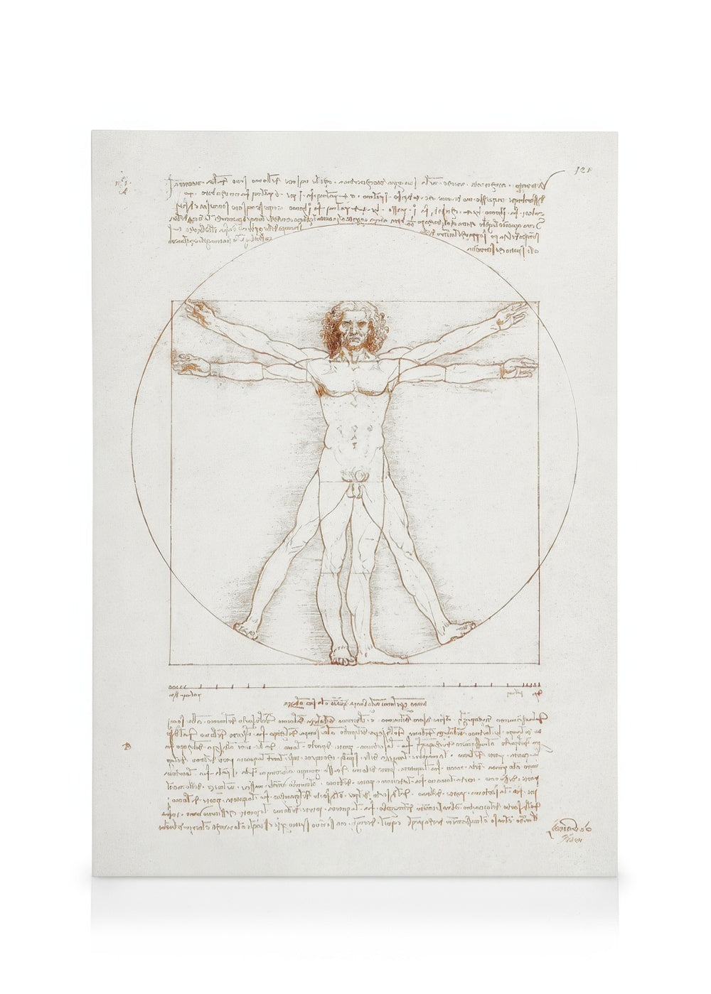 Leonardo Da Vinci - Vitruvian Man Canvas print