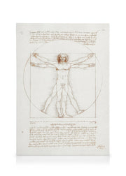 Leonardo Da Vinci - Vitruvian Man Canvas print