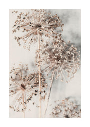 Autumn Allium Print