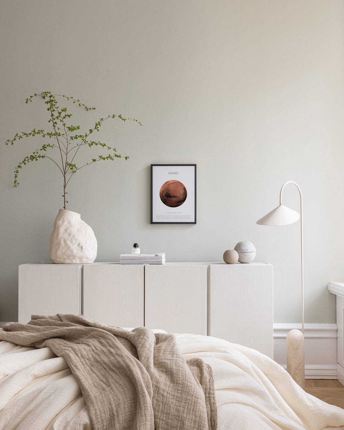 Planet Mars Canvas print