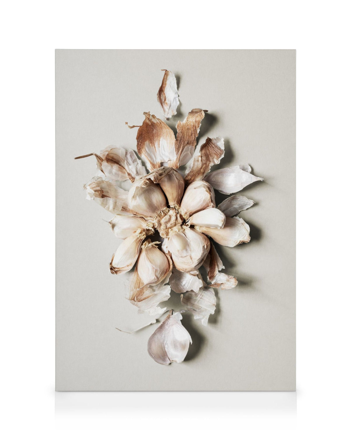 Flower of Garlic Canvas print