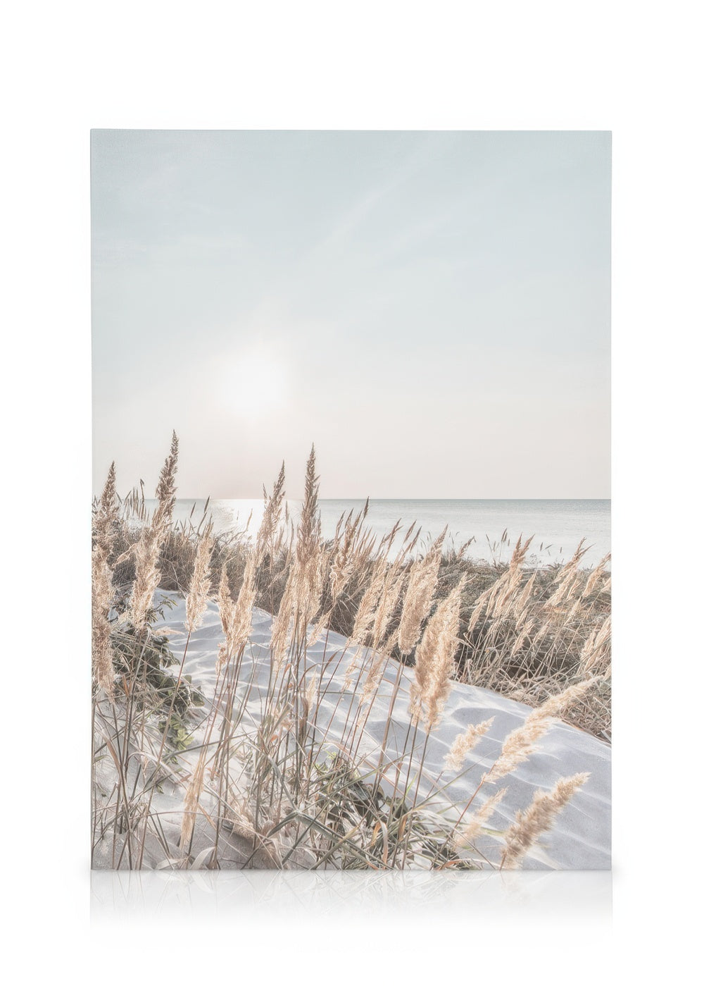 White Sand Coast Canvas print