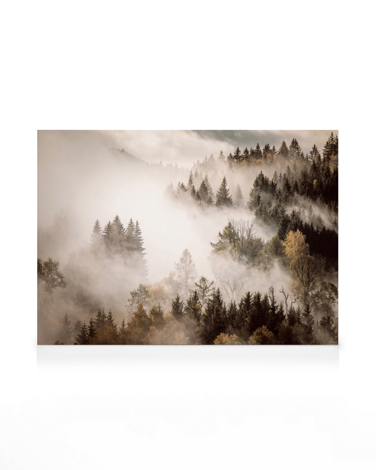 Misty Autumn Forest Canvas print