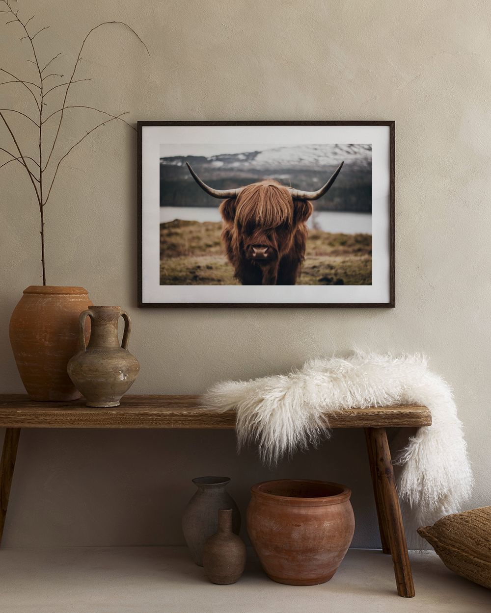 Scottish Highland Cattle Print